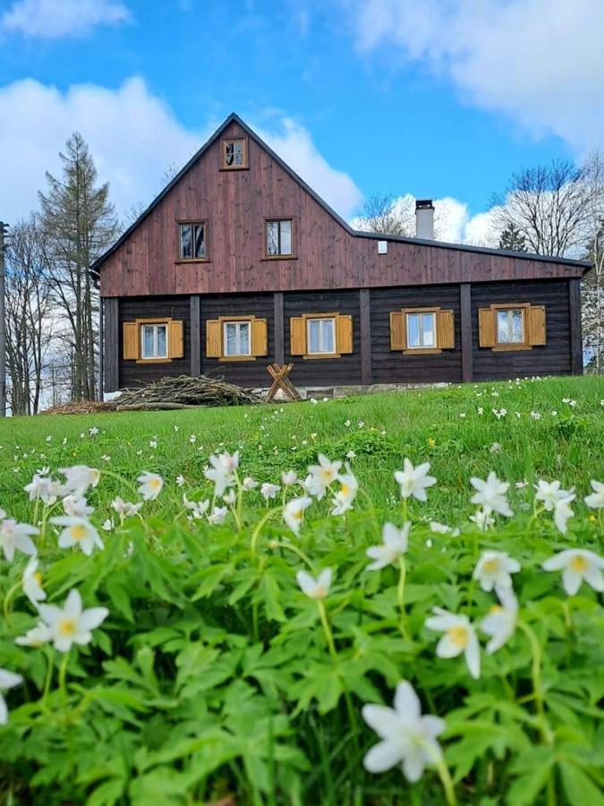 Chalupa Lichtenberg/ Svetlik Horni Podluzi Exterior photo