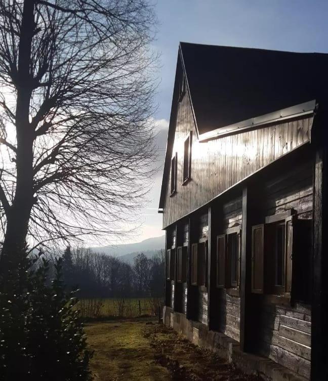 Chalupa Lichtenberg/ Svetlik Horni Podluzi Exterior photo
